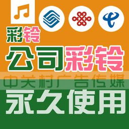 数字化浪潮下 本地化服务与品牌建设的双向奔赴